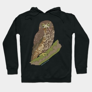 Hand Drawn New Zealand Morepork Bird Hoodie